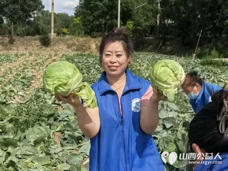烈日采白菜西瓜爱心送雨花----记长治市小雨点公益志愿者协会思源分会为长治市雨花斋二部捐赠白菜西瓜行动 - 第3张 - 山西公益人 烈日采白菜西瓜爱心送雨花----记长治市小雨点公益志愿者协会思源分会为长治市雨花斋二部捐赠白菜西瓜行动 - 第3张