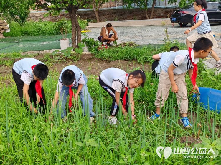 太原市赵海生学雷锋基地迎来小学生参加爱心劳动大家争先恐后清除杂草 - 第5张 - 山西公益人 太原市赵海生学雷锋基地迎来小学生参加爱心劳动大家争先恐后清除杂草 - 第5张