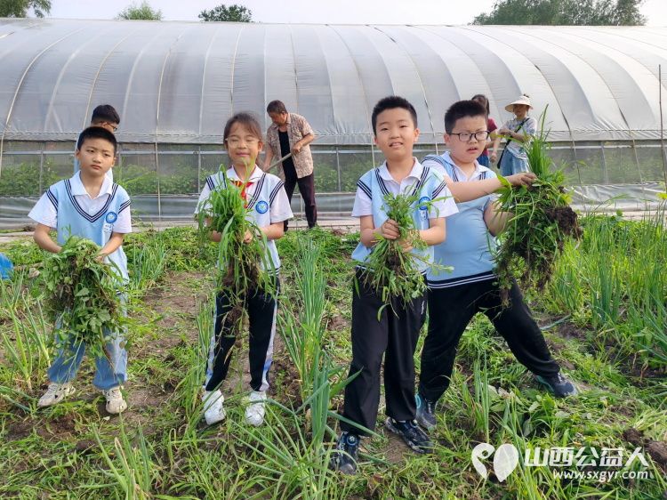 太原市赵海生学雷锋基地迎来小学生参加爱心劳动大家争先恐后清除杂草 - 第2张 - 山西公益人 太原市赵海生学雷锋基地迎来小学生参加爱心劳动大家争先恐后清除杂草 - 第2张