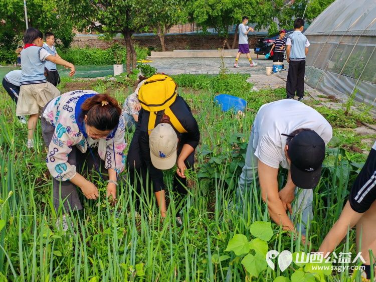 太原市赵海生学雷锋基地迎来小学生参加爱心劳动大家争先恐后清除杂草 - 第7张 - 山西公益人 太原市赵海生学雷锋基地迎来小学生参加爱心劳动大家争先恐后清除杂草 - 第7张