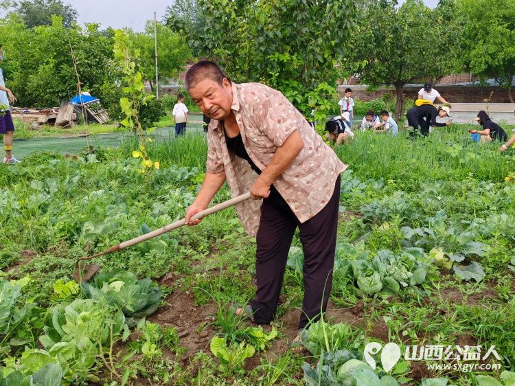 太原市赵海生学雷锋基地迎来小学生参加爱心劳动大家争先恐后清除杂草 - 第3张 - 山西公益人 太原市赵海生学雷锋基地迎来小学生参加爱心劳动大家争先恐后清除杂草 - 第3张