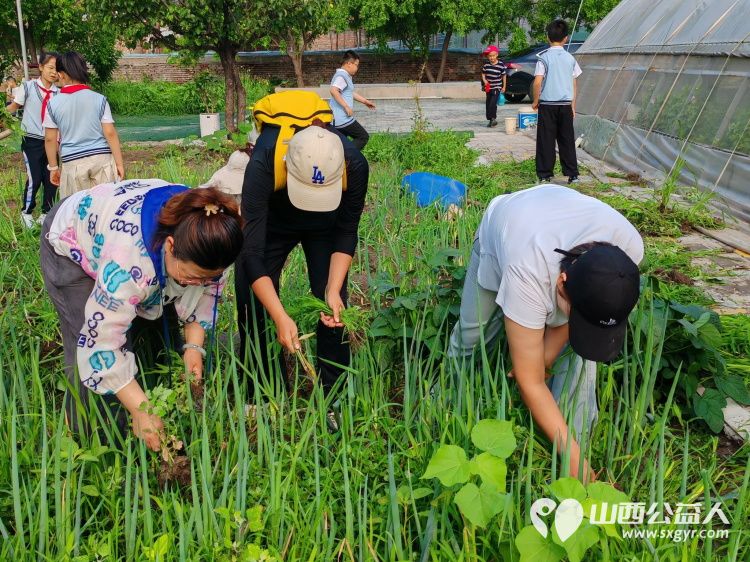 太原市赵海生学雷锋基地迎来小学生参加爱心劳动大家争先恐后清除杂草 - 第6张 - 山西公益人 太原市赵海生学雷锋基地迎来小学生参加爱心劳动大家争先恐后清除杂草 - 第6张