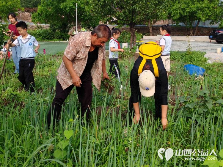 太原市赵海生学雷锋基地迎来小学生参加爱心劳动大家争先恐后清除杂草 - 第4张 - 山西公益人 太原市赵海生学雷锋基地迎来小学生参加爱心劳动大家争先恐后清除杂草 - 第4张