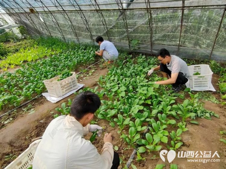 第九个全国残疾预防日暨第九个手心翻转农场----太原市安健儿公益服务中心三月风起望农场启动为残障群体搭建起成长与发展的公益新平台 - 第4张 - 山西公益人 第九个全国残疾预防日暨第九个手心翻转农场----太原市安健儿公益服务中心三月风起望农场启动为残障群体搭建起成长与发展的公益新平台 - 第4张