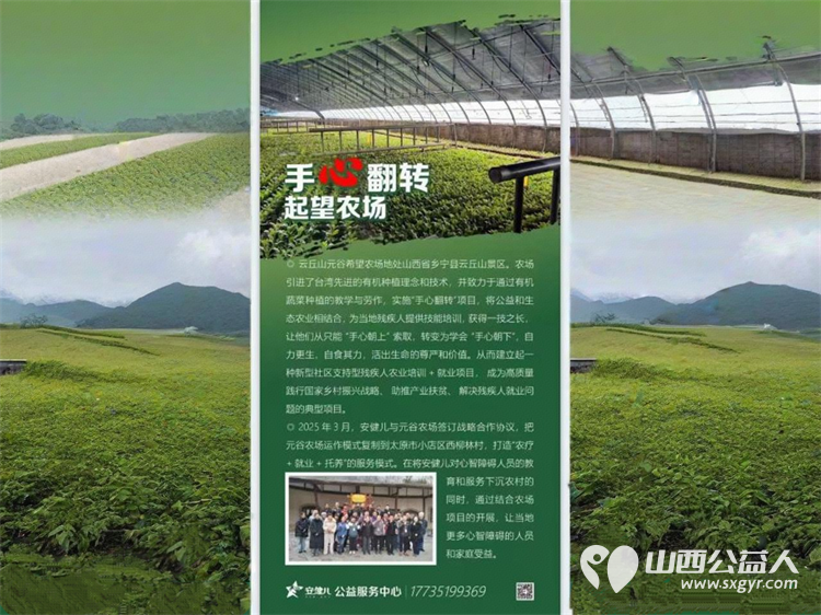 感恩太原市柳北天津包子铺支持太原市安健儿起望农场心智障碍青年们种植的有机蔬菜 - 第2张