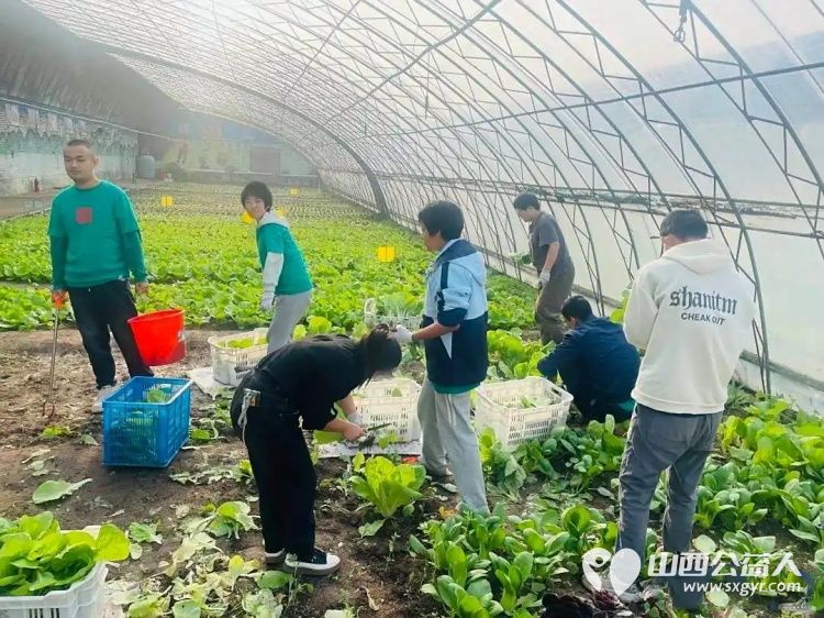 山西会馆回访太原市安健儿公益中心并收购爱心蔬菜用于清徐关帝城关公宴及非遗美食体验区 - 第10张