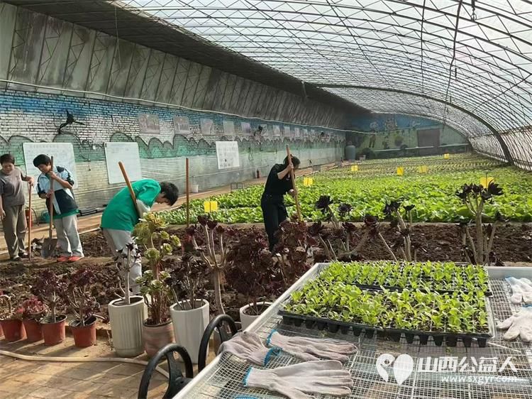 山西会馆回访太原市安健儿公益中心并收购爱心蔬菜用于清徐关帝城关公宴及非遗美食体验区 - 第7张