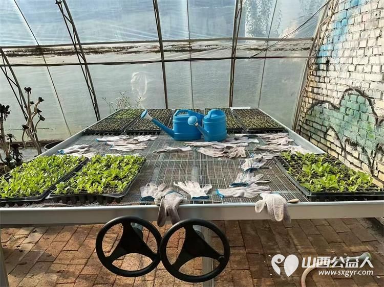 山西会馆回访太原市安健儿公益中心并收购爱心蔬菜用于清徐关帝城关公宴及非遗美食体验区 - 第9张