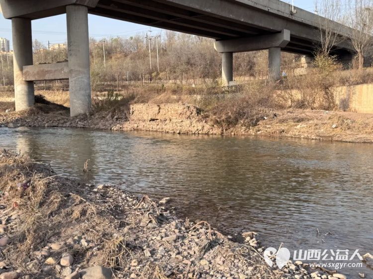 保护母亲河阳泉义工在行动 2025年11月阳泉市义工联合会组织24名义工和民间巡河员保护母亲河巡河净滩活动在白羊墅湿地公园开展 - 第27张