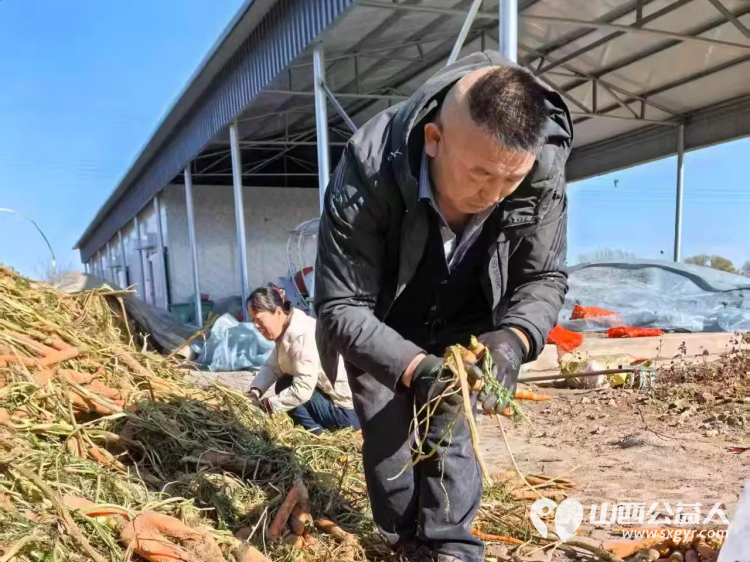 感恩长治市小雨点公益志愿者协会思源分会的李银生老师向雨花斋二部捐赠红萝卜善举 - 第3张