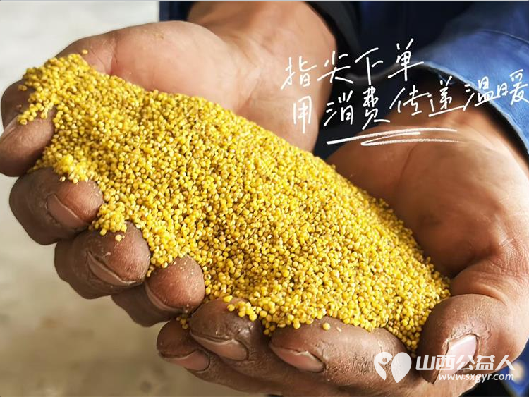 太原市古交众熙公益协会志愿者本季助销困境农户农产品6282斤以购代捐践行助农使命让爱心与乡土美味双向奔赴 - 第4张