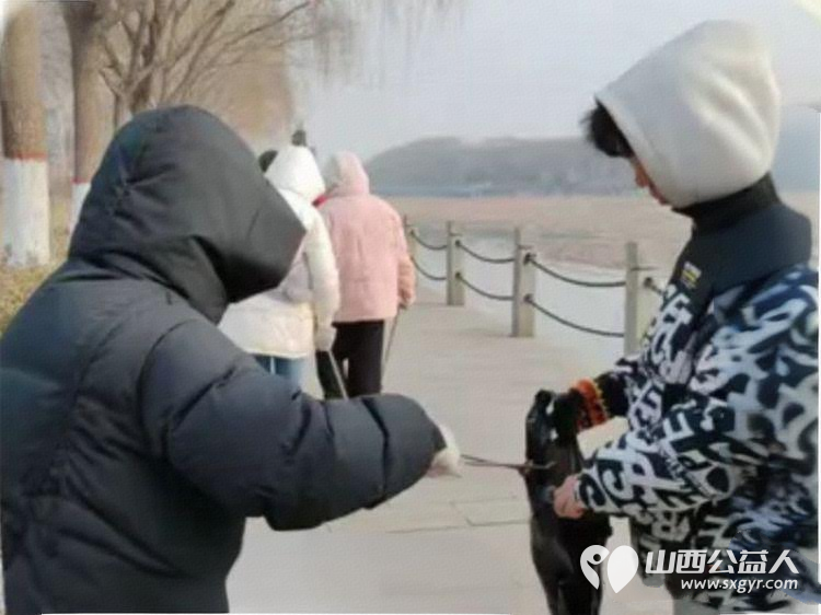 八载坚守志愿路双岗并行护文水 文水县爱心帮扶志愿者协会1月29日志愿服务迎来第八天志愿者们依旧一面守护文峪河畔生态之美一面筑牢交通路口文明防线 - 第2张