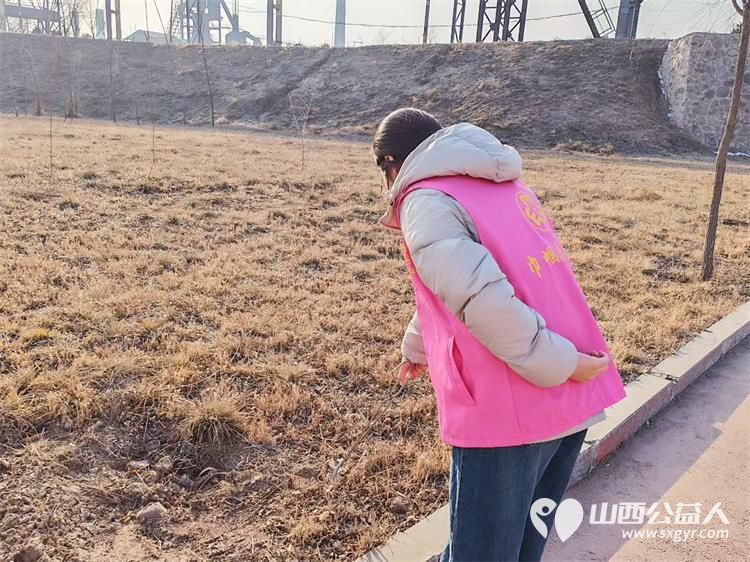 2月3日文水县爱心帮扶志愿者协会的返乡学子赴文峪河畔以行动践行新时代文明实践弯腰拾捡白色垃圾让河畔重归洁净 - 第9张 - 山西公益人 2月3日文水县爱心帮扶志愿者协会的返乡学子赴文峪河畔以行动践行新时代文明实践弯腰拾捡白色垃圾让河畔重归洁净 - 第9张