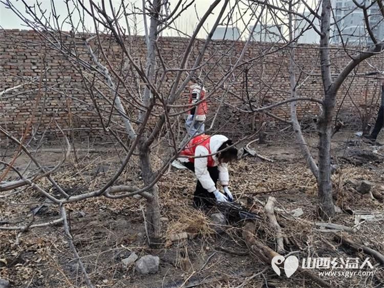 春风化雨润田畴----太原市新时代志愿服务中心赵海生雷锋团农耕志愿行活动在贾家寨山西特色水果采摘园举行 - 第16张