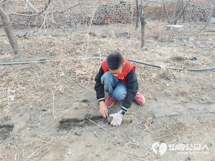 春风化雨润田畴----太原市新时代志愿服务中心赵海生雷锋团农耕志愿行活动在贾家寨山西特色水果采摘园举行 - 第17张