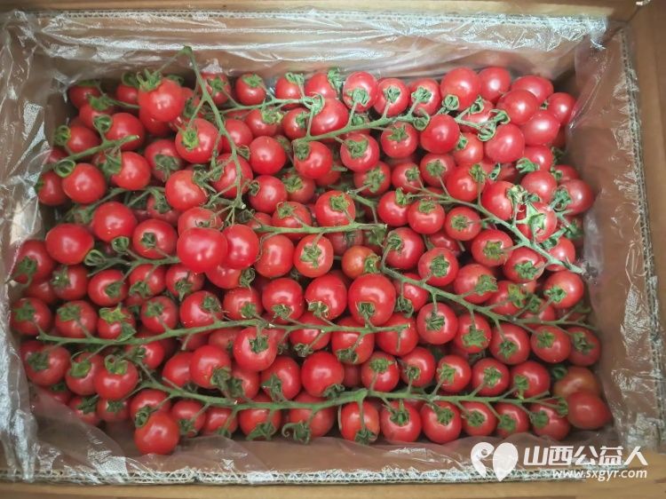 爱心传递暖人心——长治市小雨点公益志愿者协会志愿者王雪琴女士长期捐赠水果支持公益事业成为志愿者和受助人群心中的爱心使者 - 第8张 - 山西公益人 爱心传递暖人心——长治市小雨点公益志愿者协会志愿者王雪琴女士长期捐赠水果支持公益事业成为志愿者和受助人群心中的爱心使者 - 第8张