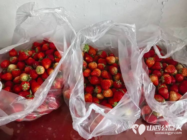 爱心传递暖人心——长治市小雨点公益志愿者协会志愿者王雪琴女士长期捐赠水果支持公益事业成为志愿者和受助人群心中的爱心使者 - 第2张 - 山西公益人 爱心传递暖人心——长治市小雨点公益志愿者协会志愿者王雪琴女士长期捐赠水果支持公益事业成为志愿者和受助人群心中的爱心使者 - 第2张