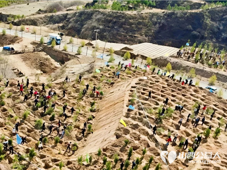 落实双碳行动植绿守护吕梁----吕梁蓝天救援队在离石区信义镇康家岭村泰瑞农场山上积极参与义务植树活动为吕梁生态建设添绿赋能 - 第9张