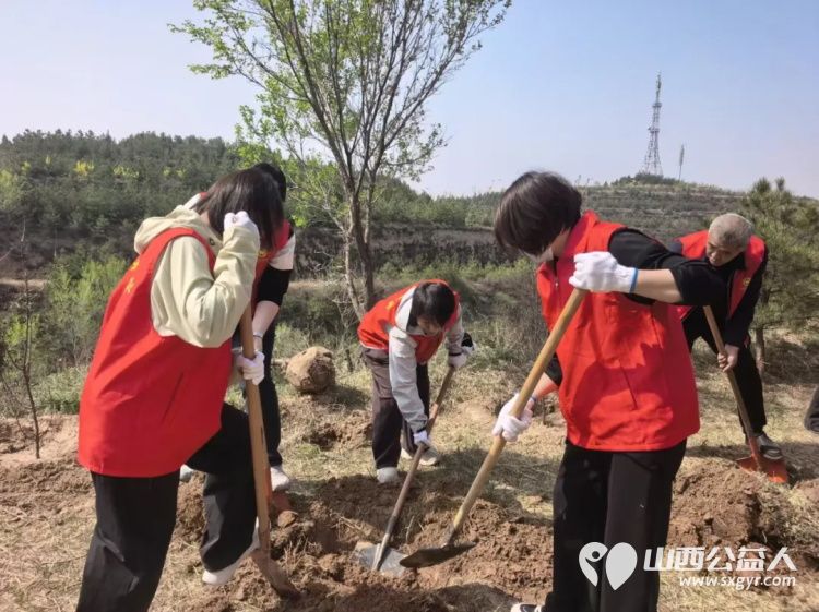 栽下一抹新绿守护一城春色----太原市环卫清洁和生活垃圾转运中心全体干部职工齐赴北山义务植树基地开展了一场别开生面的义务植树活动 - 第5张