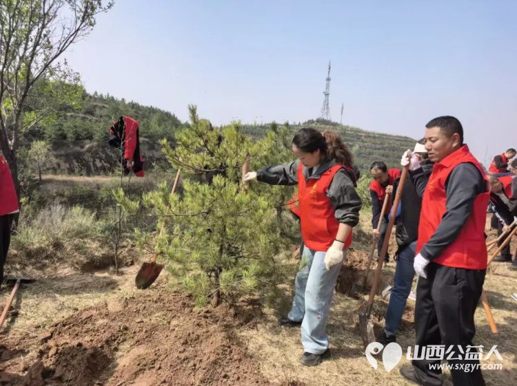 栽下一抹新绿守护一城春色----太原市环卫清洁和生活垃圾转运中心全体干部职工齐赴北山义务植树基地开展了一场别开生面的义务植树活动 - 第7张