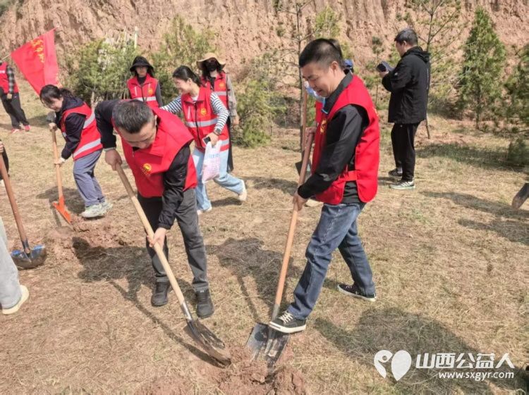 栽下一抹新绿守护一城春色----太原市环卫清洁和生活垃圾转运中心全体干部职工齐赴北山义务植树基地开展了一场别开生面的义务植树活动 - 第6张