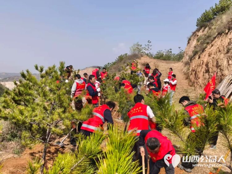 栽下一抹新绿守护一城春色----太原市环卫清洁和生活垃圾转运中心全体干部职工齐赴北山义务植树基地开展了一场别开生面的义务植树活动 - 第2张