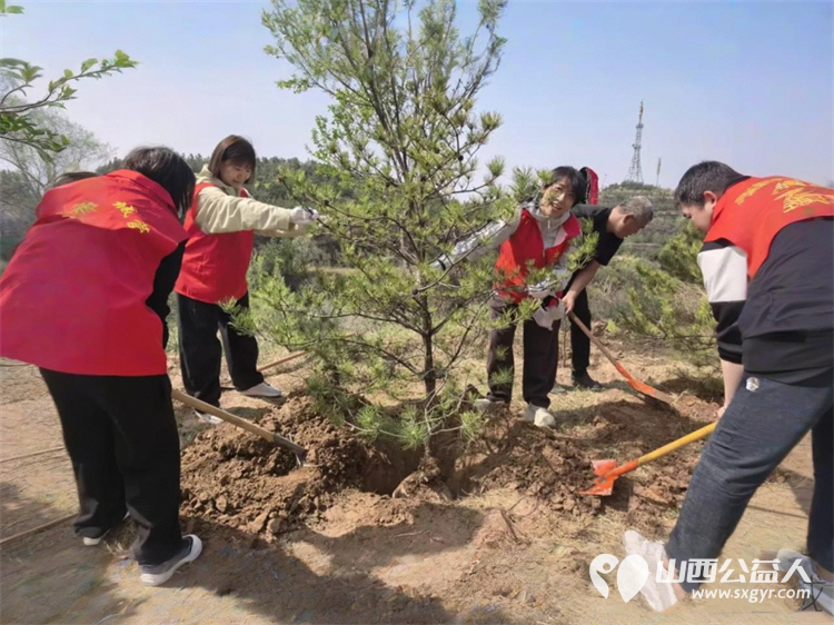 栽下一抹新绿守护一城春色----太原市环卫清洁和生活垃圾转运中心全体干部职工齐赴北山义务植树基地开展了一场别开生面的义务植树活动 - 第3张