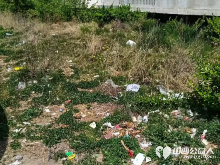 党建引领办实事环境整治惠民生 武乡县太东社区联合武乡县住建局组织单位干部社区志愿者深入金地小区开展环境卫生整治行动小区居住环境得到极大改善 - 第21张