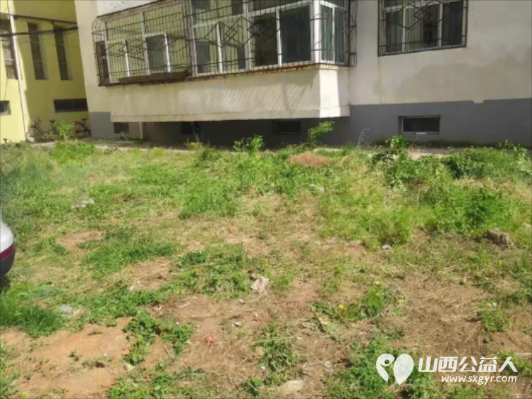 党建引领办实事环境整治惠民生 武乡县太东社区联合武乡县住建局组织单位干部社区志愿者深入金地小区开展环境卫生整治行动小区居住环境得到极大改善 - 第22张