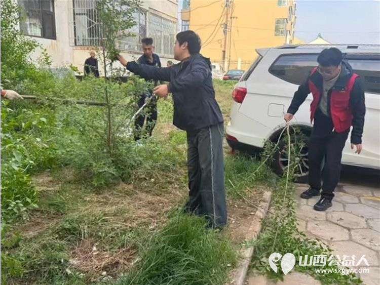 党建引领办实事环境整治惠民生 武乡县太东社区联合武乡县住建局组织单位干部社区志愿者深入金地小区开展环境卫生整治行动小区居住环境得到极大改善 - 第5张