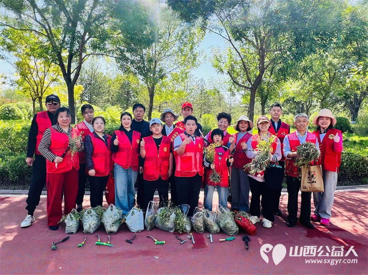 太原市迎泽区志愿者参加太原市双塔公园公益除草志愿行活动俯身清理草坪里面的杂草 - 第1张