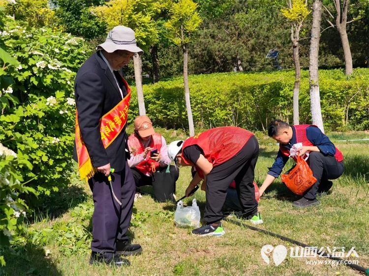 太原市迎泽区志愿者参加太原市双塔公园公益除草志愿行活动俯身清理草坪里面的杂草 - 第7张