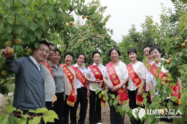 太原学花志愿服务中心全国党代表全国人大代表全国劳模全国道德模范中国好人走进山西省文明村阳曲县南留南村开展助农活动以模范力量打通农产品产销通道 - 第4张