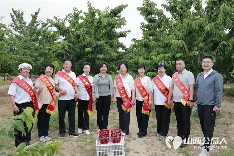 太原学花志愿服务中心全国党代表全国人大代表全国劳模全国道德模范中国好人走进山西省文明村阳曲县南留南村开展助农活动以模范力量打通农产品产销通道 - 第7张