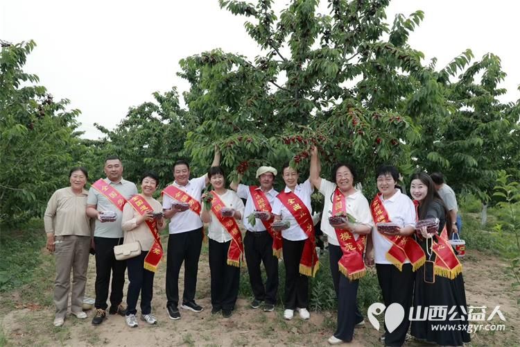太原学花志愿服务中心全国党代表全国人大代表全国劳模全国道德模范中国好人走进山西省文明村阳曲县南留南村开展助农活动以模范力量打通农产品产销通道 - 第6张
