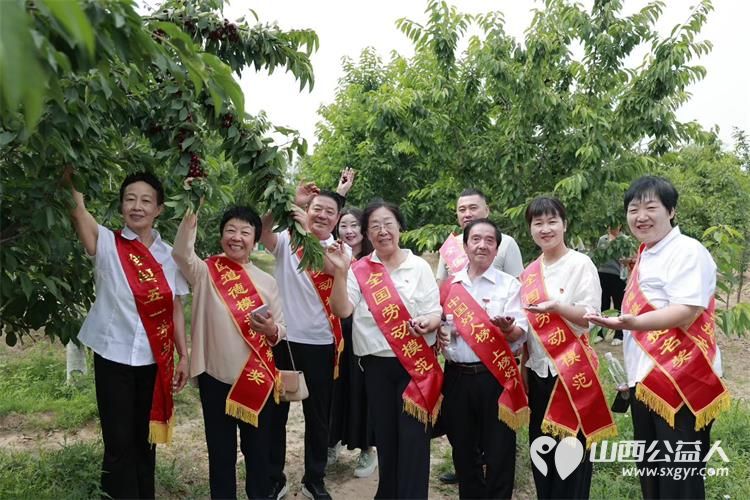 太原学花志愿服务中心全国党代表全国人大代表全国劳模全国道德模范中国好人走进山西省文明村阳曲县南留南村开展助农活动以模范力量打通农产品产销通道 - 第3张