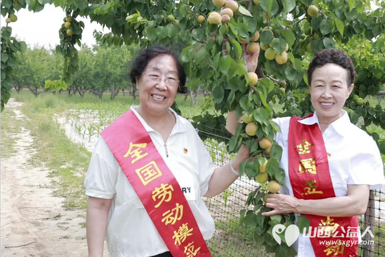 太原学花志愿服务中心全国党代表全国人大代表全国劳模全国道德模范中国好人走进山西省文明村阳曲县南留南村开展助农活动以模范力量打通农产品产销通道 - 第8张