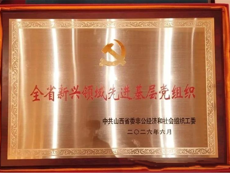 晋善晋美公益伙伴机构----交城县顺风公益协会党支部2026年6月获评全省新兴领域先进基层党组织我们将持续推进党建标准化规范化建设持续擦亮自有公益品牌 - 第2张