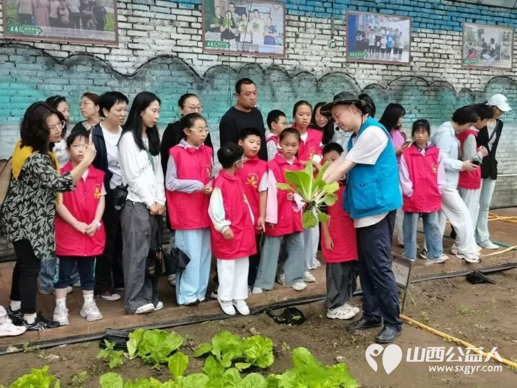 夏日农场趣相伴残健融合育青苗----太原市小桔灯公益组织小志愿者走进太原市安健儿公益服务中心三月风手心翻转农场开展残健融合公益实践活动开启一场温暖的双向陪伴 - 第9张 - 山西公益人 夏日农场趣相伴残健融合育青苗----太原市小桔灯公益组织小志愿者走进太原市安健儿公益服务中心三月风手心翻转农场开展残健融合公益实践活动开启一场温暖的双向陪伴 - 第9张