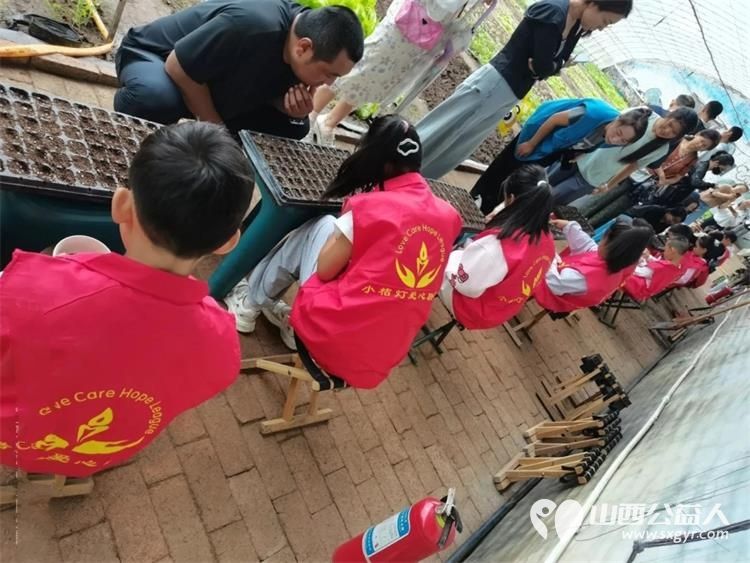 夏日农场趣相伴残健融合育青苗----太原市小桔灯公益组织小志愿者走进太原市安健儿公益服务中心三月风手心翻转农场开展残健融合公益实践活动开启一场温暖的双向陪伴 - 第11张 - 山西公益人 夏日农场趣相伴残健融合育青苗----太原市小桔灯公益组织小志愿者走进太原市安健儿公益服务中心三月风手心翻转农场开展残健融合公益实践活动开启一场温暖的双向陪伴 - 第11张