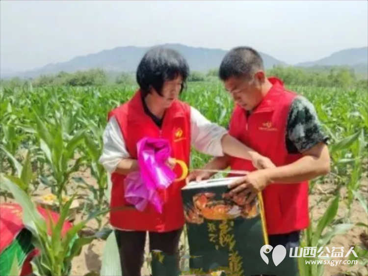 风雨同心助农售杏温情传递双向温暖----忻州市爱心公益协会帮助志愿者王秀平韩沟村家中60棵彩虹杏的采摘工作采摘杏子1100余斤捐赠至5所光荣院养老院及特殊教育学校 - 第6张 - 山西公益人 风雨同心助农售杏温情传递双向温暖----忻州市爱心公益协会帮助志愿者王秀平韩沟村家中60棵彩虹杏的采摘工作采摘杏子1100余斤捐赠至5所光荣院养老院及特殊教育学校 - 第6张