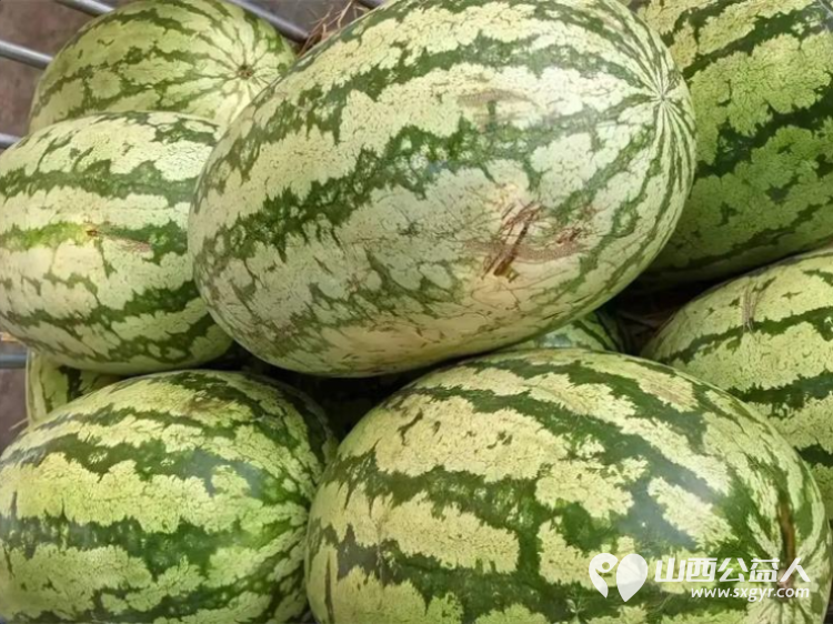 一碗热面暖人心文化健体添温情----长治市小雨点公益志愿者协会思源组7月6日在长治市雨花斋二部开展免费供餐暖心公益活动 - 第14张