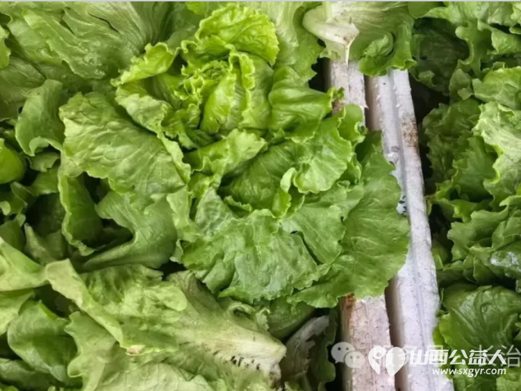 一碗热面暖人心文化健体添温情----长治市小雨点公益志愿者协会思源组7月6日在长治市雨花斋二部开展免费供餐暖心公益活动 - 第11张