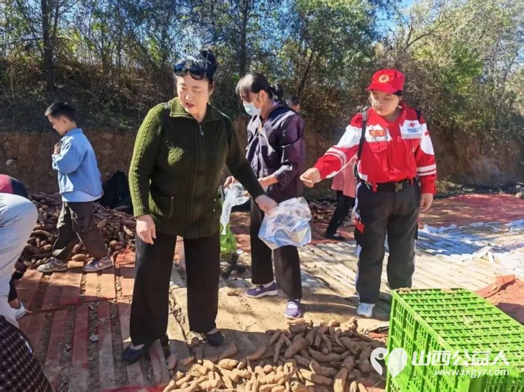 阳泉市红十字纵擎救援队圆满完成阳泉市郊区荫营镇东梁庄村第七届富硒红薯采收季现场应急安全保障任务 - 第5张 - 山西公益人 阳泉市红十字纵擎救援队圆满完成阳泉市郊区荫营镇东梁庄村第七届富硒红薯采收季现场应急安全保障任务 - 第5张