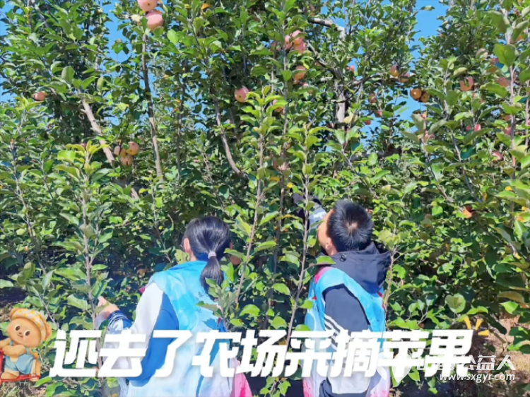 风禾手遇•田园艺术节 在刘家堡太原市安健儿起望农场安健儿非遗小院举办活动依托农疗文创研学为心智障碍青少年搭建交流平台拓宽帮扶渠道 - 第14张