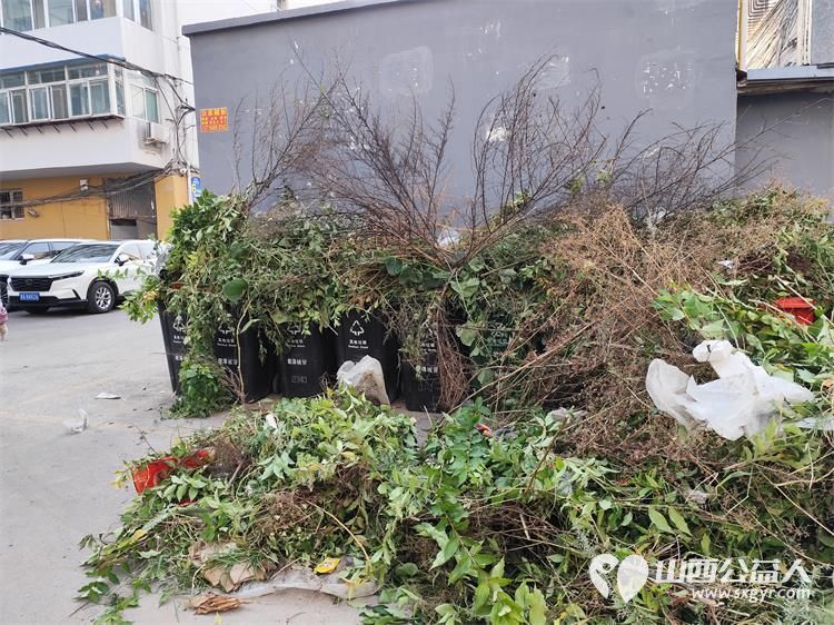 太原市菜园苑区志愿者携手迎泽区南内环二社区开展了楼前杂草集中清理志愿服务行动对楼前绿化带的杂草进行拉网式清理小区人居环境得到明显改善 - 第26张 - 山西公益人 太原市菜园苑区志愿者携手迎泽区南内环二社区开展了楼前杂草集中清理志愿服务行动对楼前绿化带的杂草进行拉网式清理小区人居环境得到明显改善 - 第26张
