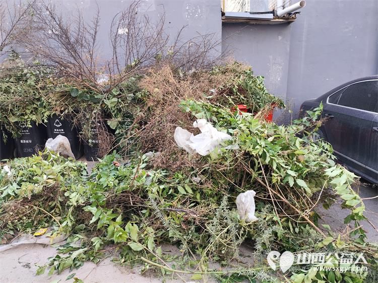 太原市菜园苑区志愿者携手迎泽区南内环二社区开展了楼前杂草集中清理志愿服务行动对楼前绿化带的杂草进行拉网式清理小区人居环境得到明显改善 - 第25张 - 山西公益人 太原市菜园苑区志愿者携手迎泽区南内环二社区开展了楼前杂草集中清理志愿服务行动对楼前绿化带的杂草进行拉网式清理小区人居环境得到明显改善 - 第25张