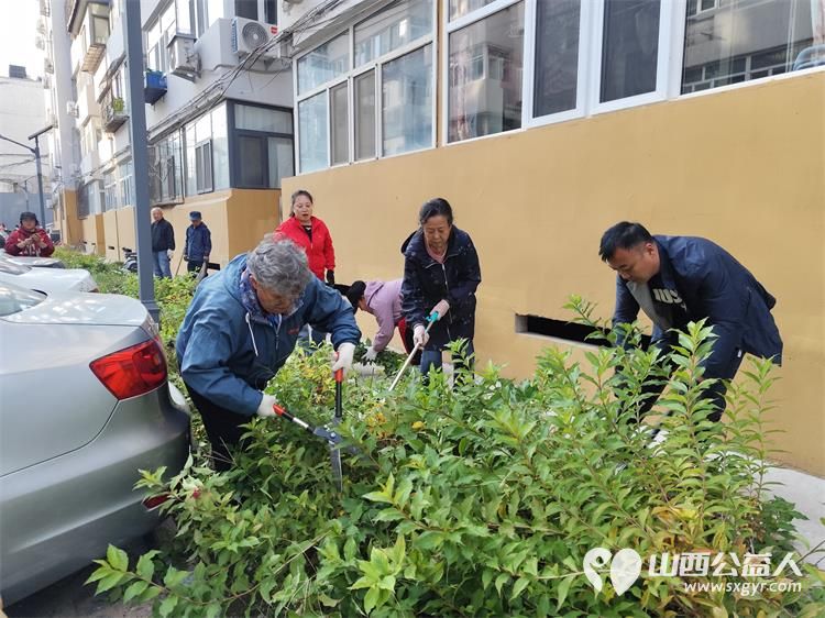 太原市菜园苑区志愿者携手迎泽区南内环二社区开展了楼前杂草集中清理志愿服务行动对楼前绿化带的杂草进行拉网式清理小区人居环境得到明显改善 - 第20张 - 山西公益人 太原市菜园苑区志愿者携手迎泽区南内环二社区开展了楼前杂草集中清理志愿服务行动对楼前绿化带的杂草进行拉网式清理小区人居环境得到明显改善 - 第20张
