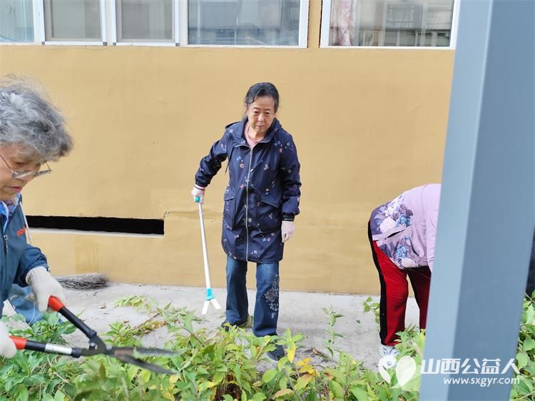 太原市菜园苑区志愿者携手迎泽区南内环二社区开展了楼前杂草集中清理志愿服务行动对楼前绿化带的杂草进行拉网式清理小区人居环境得到明显改善 - 第15张 - 山西公益人 太原市菜园苑区志愿者携手迎泽区南内环二社区开展了楼前杂草集中清理志愿服务行动对楼前绿化带的杂草进行拉网式清理小区人居环境得到明显改善 - 第15张