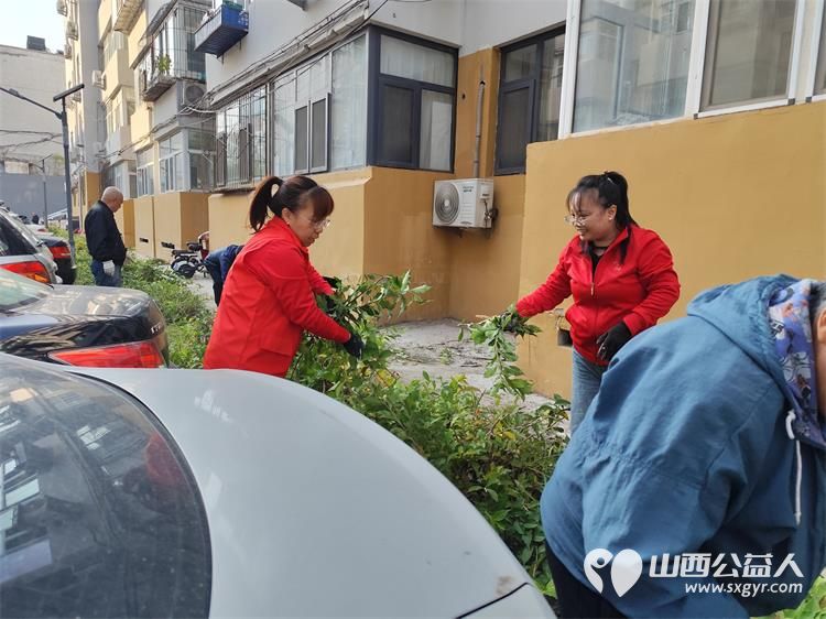 太原市菜园苑区志愿者携手迎泽区南内环二社区开展了楼前杂草集中清理志愿服务行动对楼前绿化带的杂草进行拉网式清理小区人居环境得到明显改善 - 第12张 - 山西公益人 太原市菜园苑区志愿者携手迎泽区南内环二社区开展了楼前杂草集中清理志愿服务行动对楼前绿化带的杂草进行拉网式清理小区人居环境得到明显改善 - 第12张